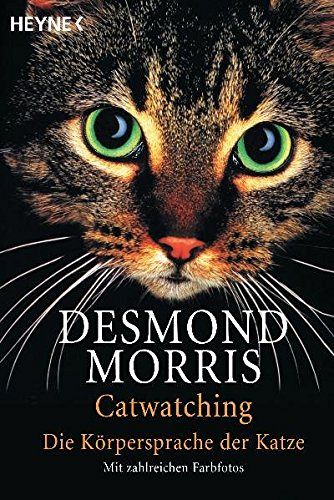 Catwatching - Die Körpersprache der Katzen