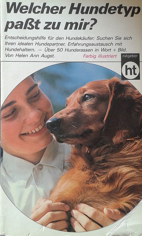 Welcher Hundetyp passt zu mir?