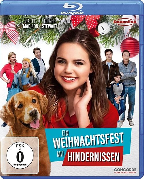 Ein Weihnachtsfest mit Hindernissen [Blu-ray]