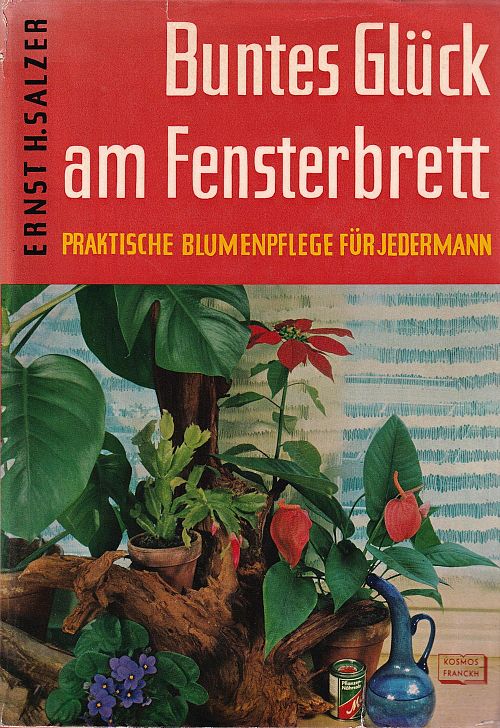 Buntes Glück am Fensterbrett