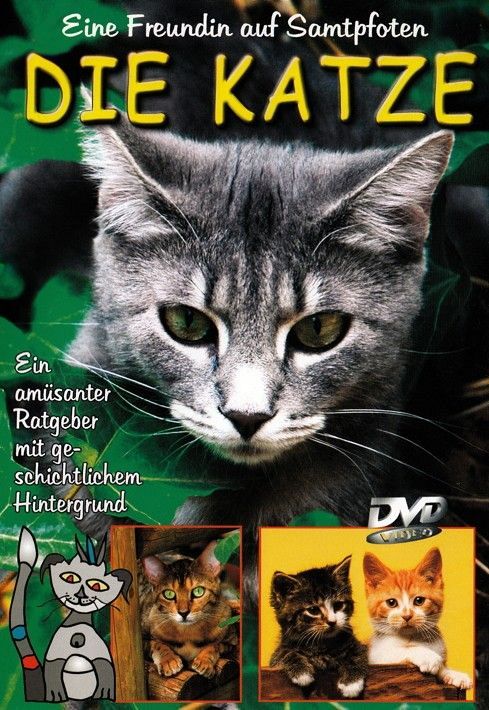 Die Katze - Eine Freundin auf Samtpfoten [DVD]