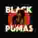Black Pumas [Vinyl]