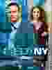 CSI: NY - Season 2.2  [DVD]